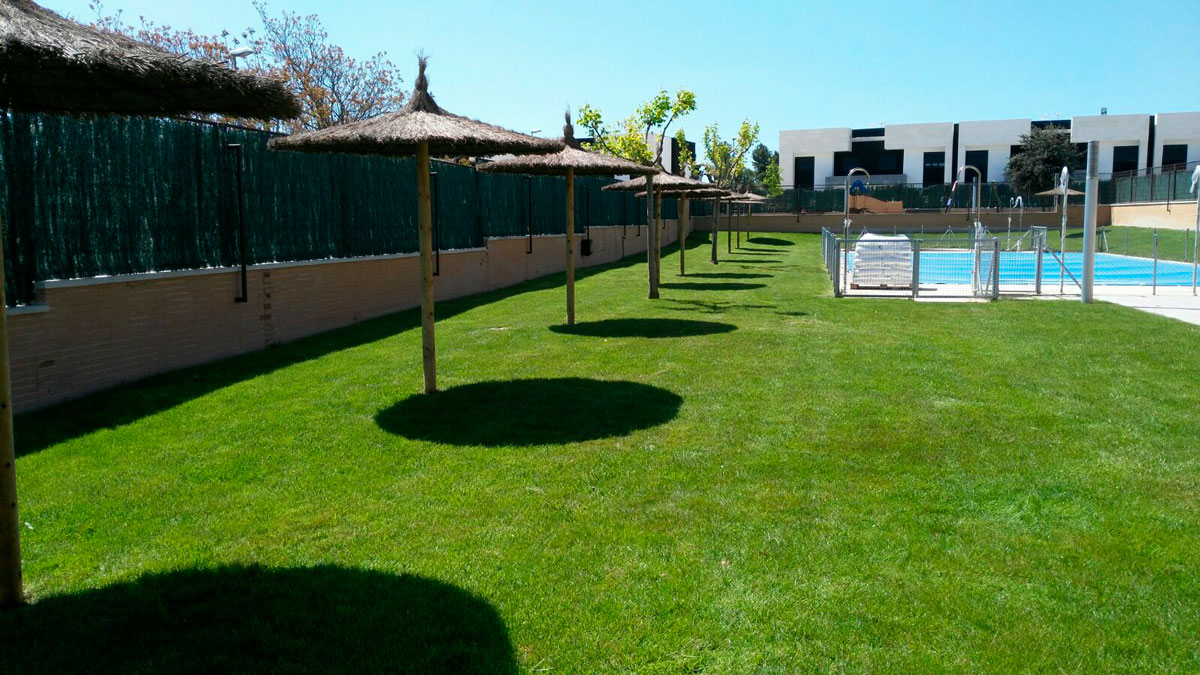 Sombrillas de Brezo para Jardín con Piscina en Madrid