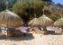 Sombrilla de Brezo Playa