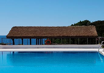 Pérgola o Palapa de Caña Marina