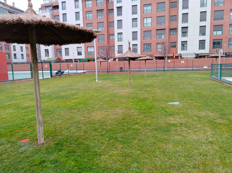 Instalación de Sombrillas de Brezo en jardín con piscina