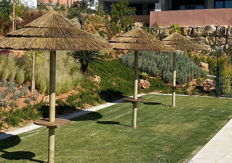 Sombrillas de Junco Africano