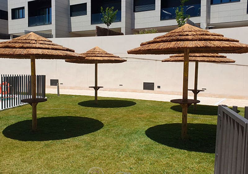 Sombrillas de Junco Africano