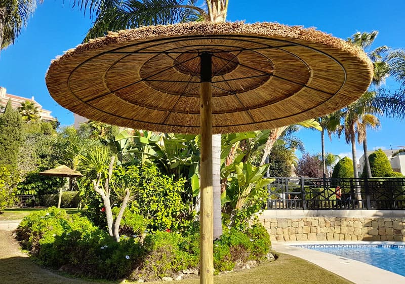 Sombrillas de Junco Africano