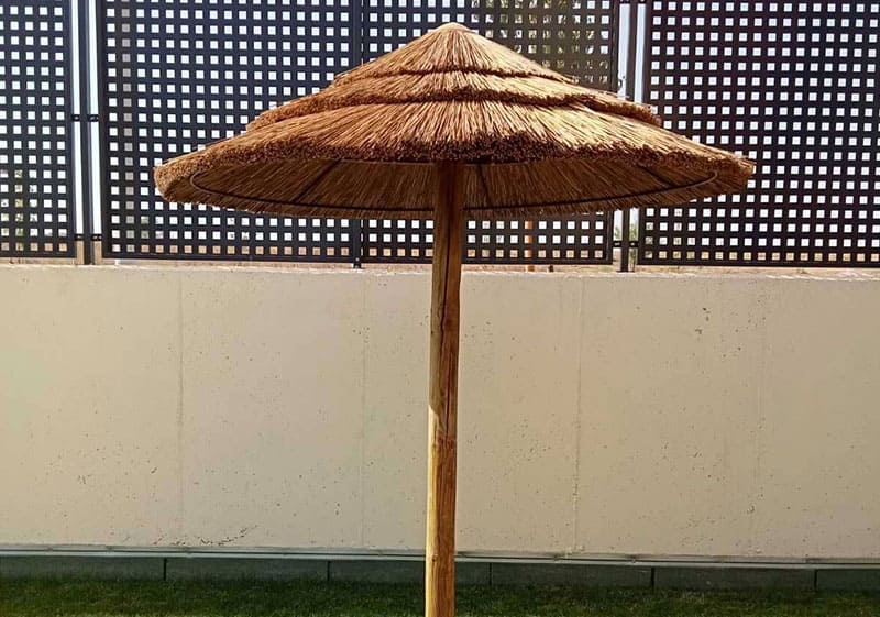 Sombrillas de Junco Africano