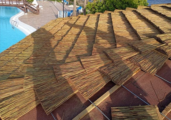 Pérgola o Palapa de Junco Africano