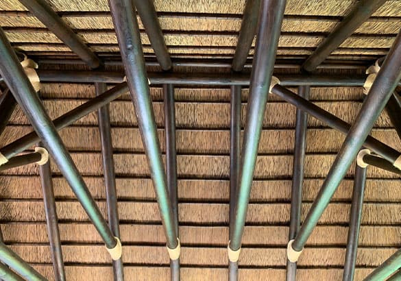 Pérgola o Palapa de Junco Africano