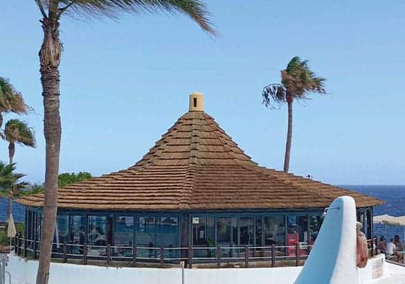 Pérgola o Palapa de Junco Africano