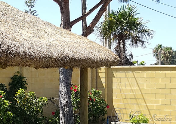 Pérgola o Palapa de Caña Marina