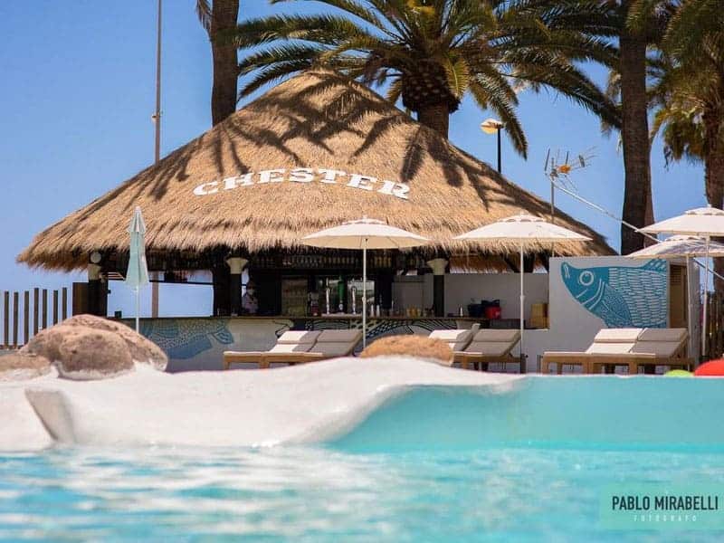 Fabricación e Instalación de Palapa y Sombrillas de Caña Marina en Beach Club