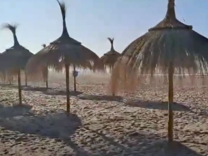 Fabricación e instalación sombrillas de carritx en la playa de Alicante