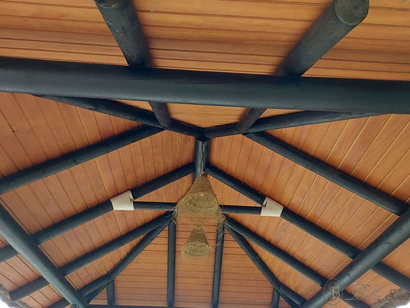 Pergola de madera impermeabilizada