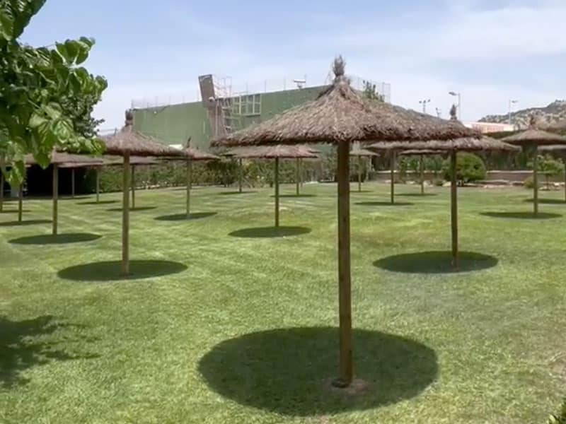 Sombrilla brezo alicante