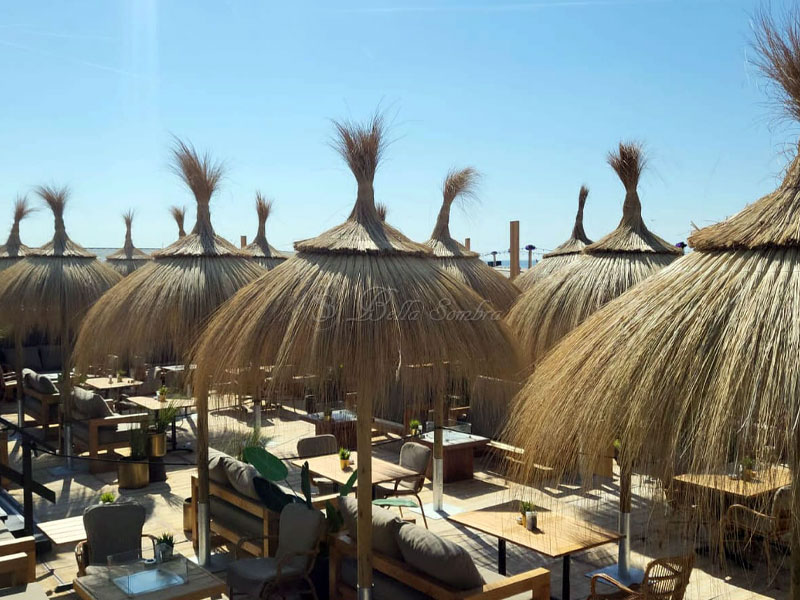 sombrilla carritx chiringuito alicante