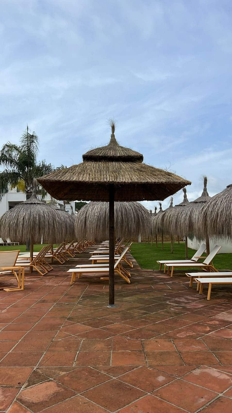 sombrilla caña marina sotogrande